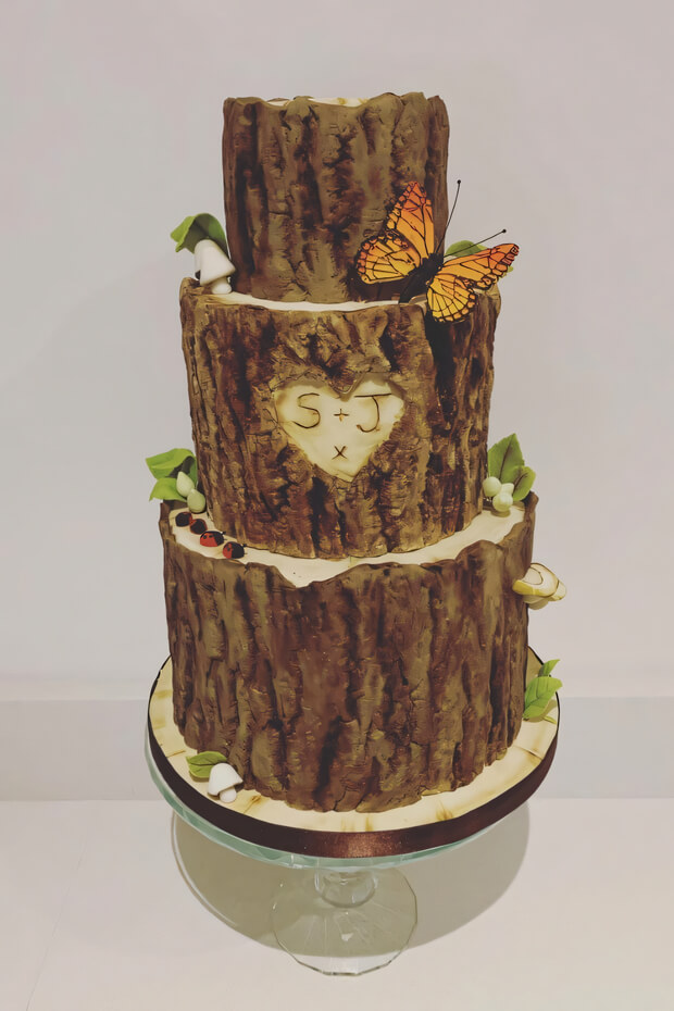 Butterfly on top of a tree stump cake