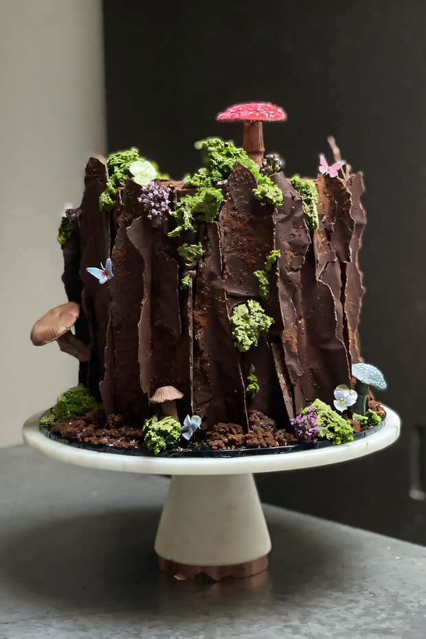 Chocolate cake with moss and forest elements