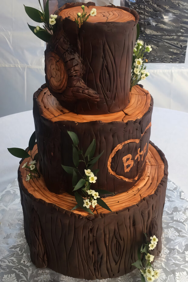 Three-tiered chocolate cake with tree bark
