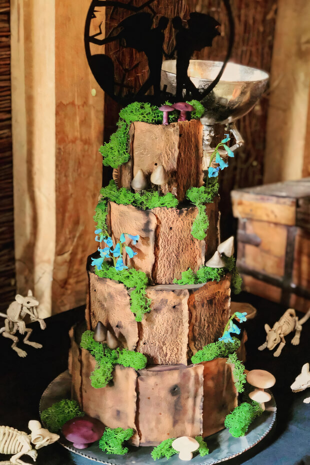 Multi-tiered cake with tree stump design